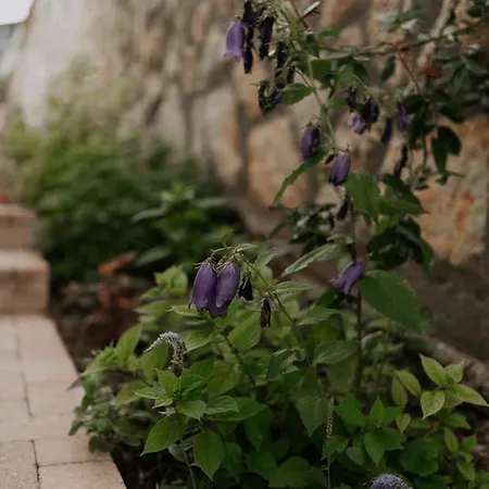 아파트 Neidhardt Vendeghaz Bóly